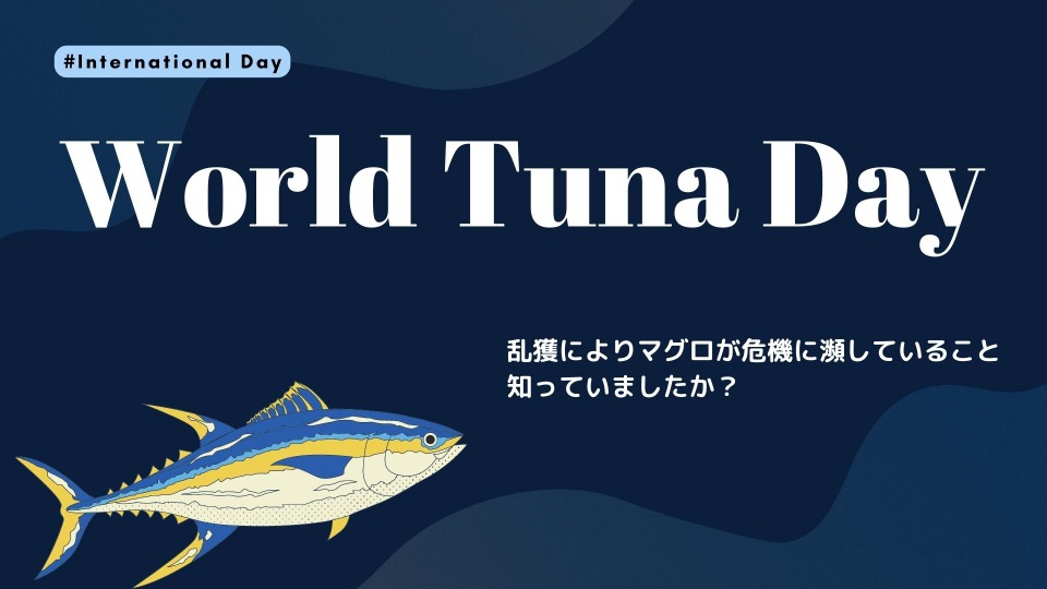 危機に瀕するマグロの持続可能性【5月2日は世界まぐろデー】 | The