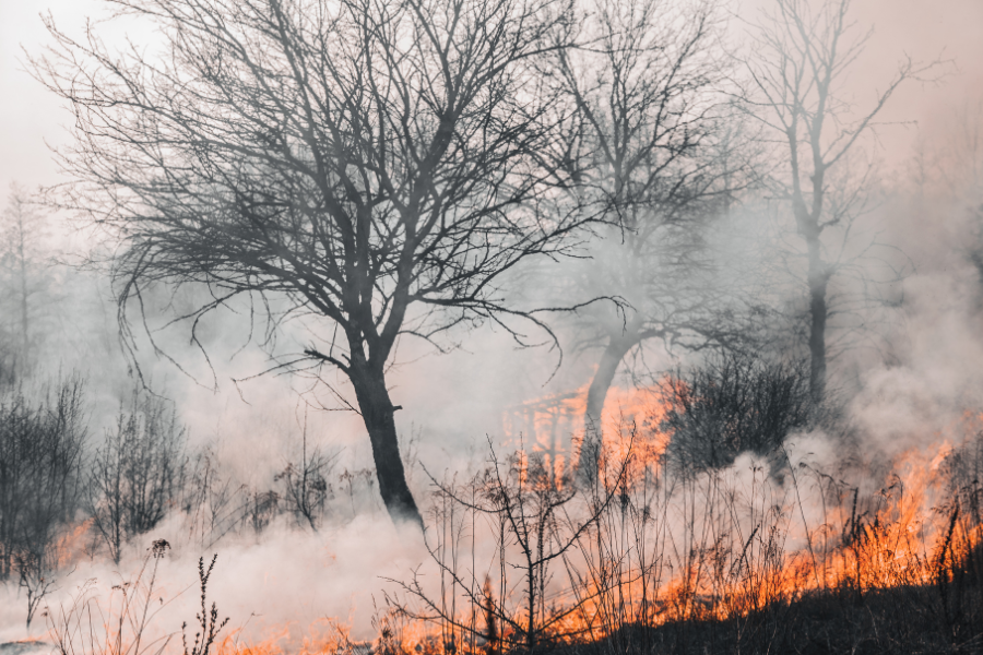 ギリシャで山火事発生　1.9万人が避難