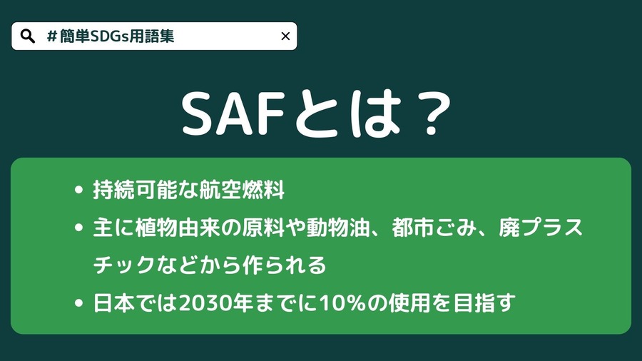 SAF（持続可能な航空燃料）とは【#簡単SDGs用語集】
