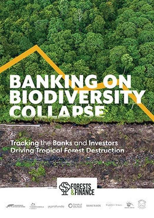 メガバンクらの森林リスク産品に対する資金提供は3070億ドル…米環境NGOが金融業と環境破壊について報告