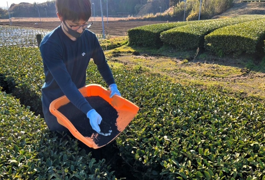 伊藤園など、「バイオ炭」の茶園散布による温暖化対策効果の試験を開始