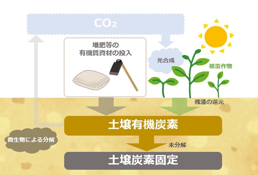 ENEOS、土壌炭素固定カーボンクレジット事業展開のCASに出資