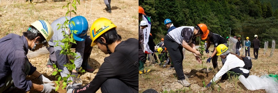 LINEヤフーと田島山業、持続可能な森林育成へ植樹プロジェクト開始