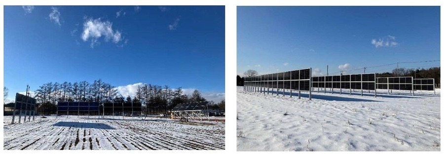 東急不動産と自然電力、営農型太陽光発電事業で新会社「リエネ自然ファーム」設立