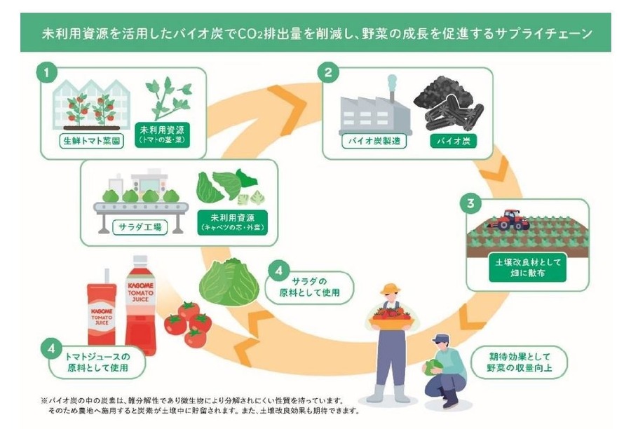 キユーピーとカゴメが共同研究を開始、未利用野菜をバイオ炭化　土壌改良やCO2削減に活用
