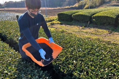 伊藤園など、「バイオ炭」の茶園散布による温暖化対策効果の試験を開始 画像