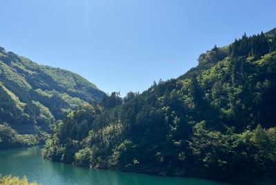 ENEOS、宮崎県の森林由来J-クレジットでカーボンニュートラル達成 画像