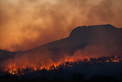 カナダ山火事、アメリカ人1億人以上が影響化に　気候変動との関係は 画像