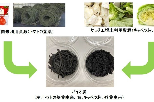 キユーピーとカゴメが共同研究を開始、未利用野菜をバイオ炭化　土壌改良やCO2削減に活用 画像