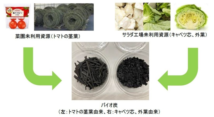キユーピーとカゴメが共同研究を開始、未利用野菜をバイオ炭化　土壌改良やCO2削減に活用