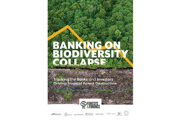 メガバンクらの森林リスク産品に対する資金提供は3070億ドル…米環境NGOが金融業と環境破壊について報告 画像