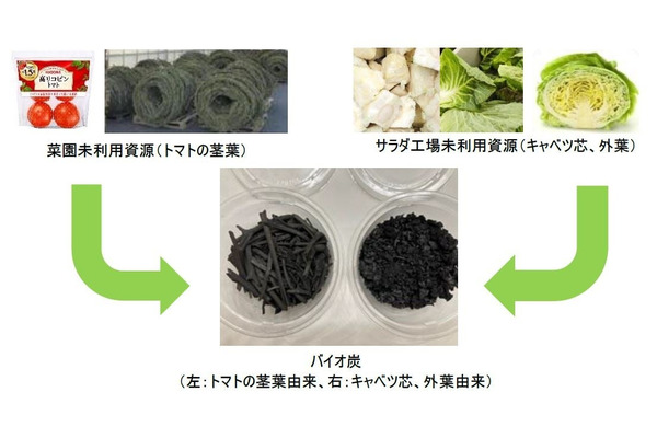 キユーピーとカゴメが共同研究を開始、未利用野菜をバイオ炭化　土壌改良やCO2削減に活用 画像